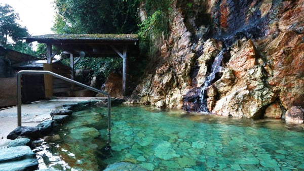 鮮度抜群!丹後・久美浜産!「白イカ会席」のご昼食と北近畿随一!大露天風呂の久美浜温泉ご入浴【富田林・藤井寺発】2